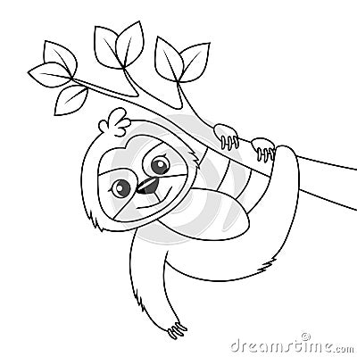 Cute cartoon sloth on tree. Black and white illustration for coloring book Vector Illustration